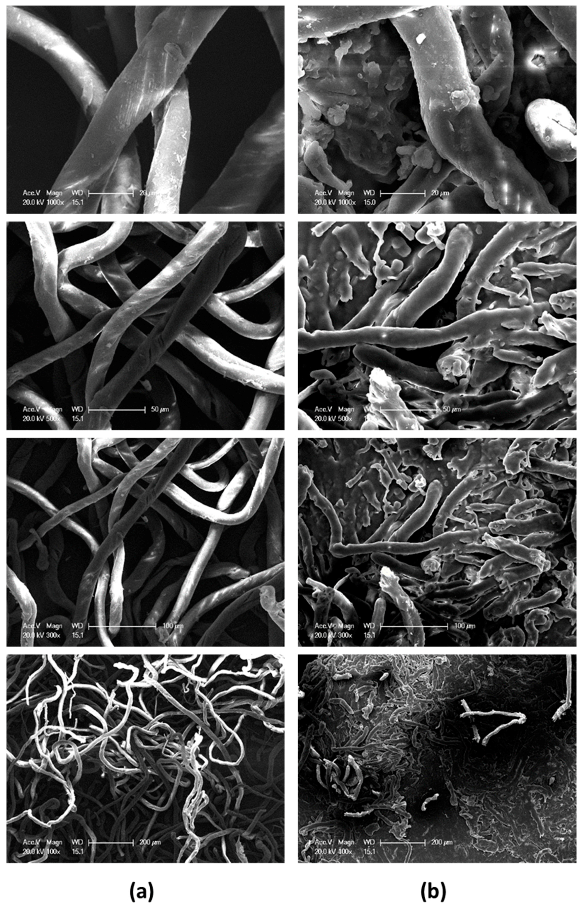 Materials 10 00316 g004