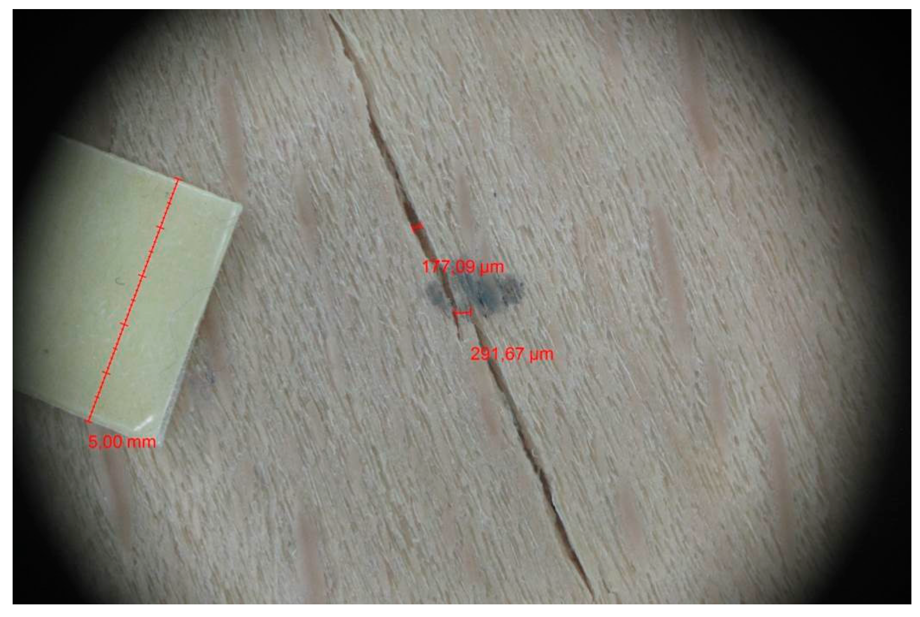 Materials 10 00321 g009