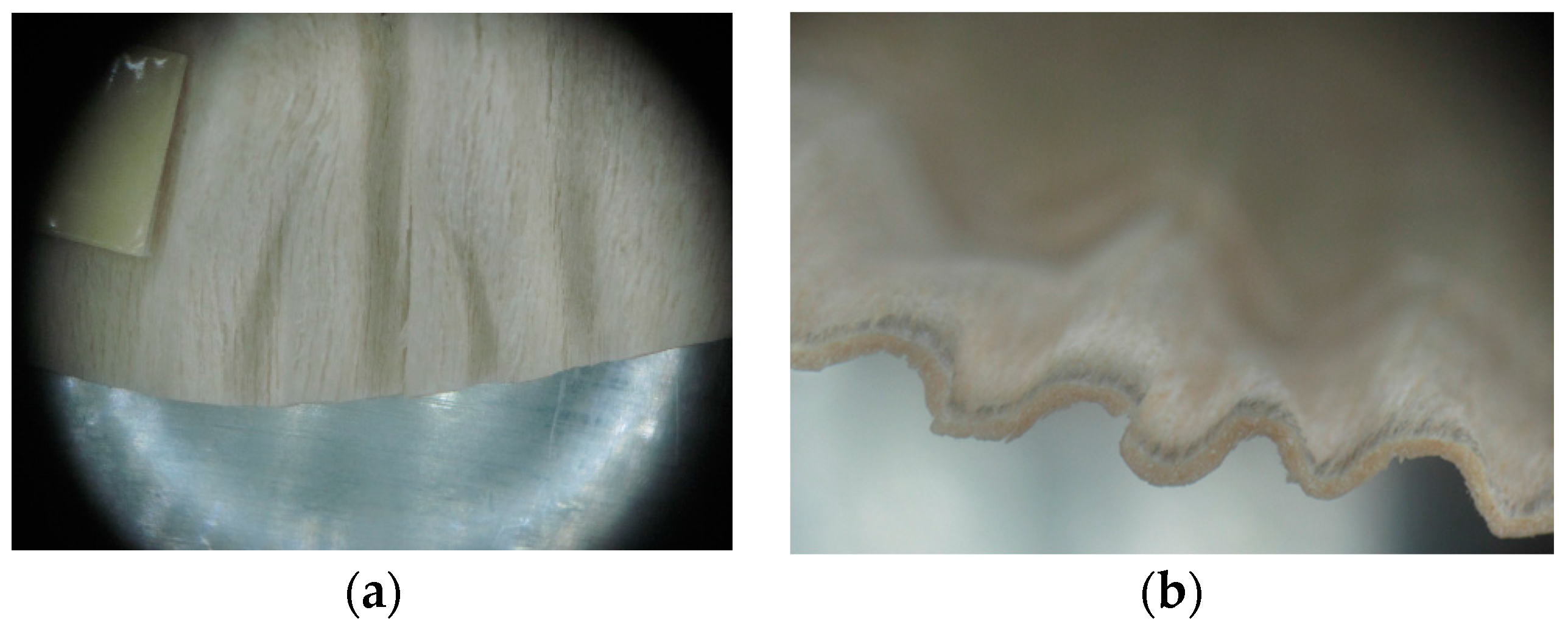 Materials 10 00321 g018