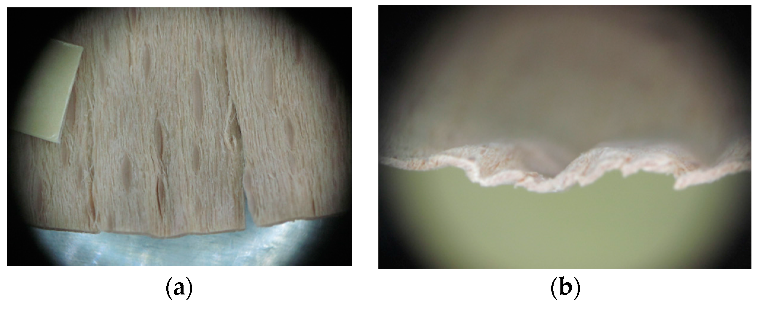 Materials 10 00321 g019