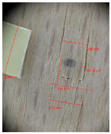 Materials 10 00321 i001