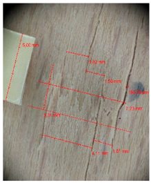 Materials 10 00321 i003