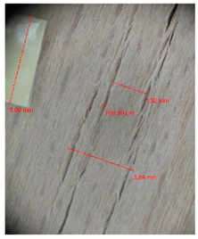 Materials 10 00321 i005