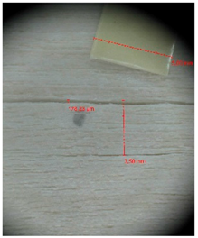 Materials 10 00321 i006