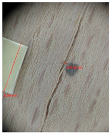 Materials 10 00321 i017