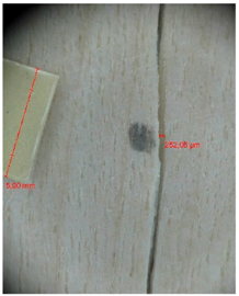 Materials 10 00321 i020