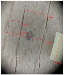 Materials 10 00321 i023