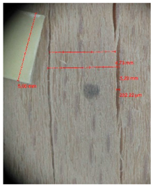 Materials 10 00321 i025