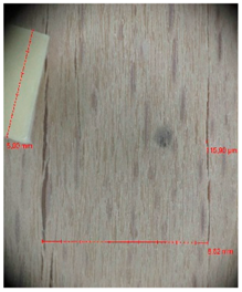 Materials 10 00321 i031