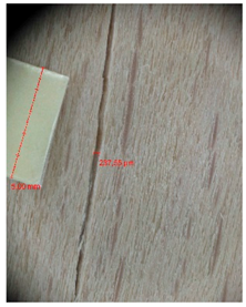 Materials 10 00321 i033