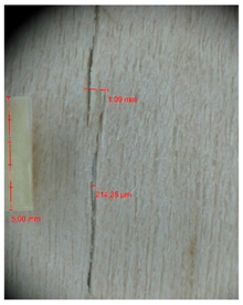 Materials 10 00321 i034