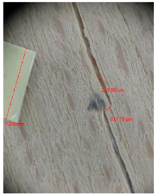 Materials 10 00321 i037