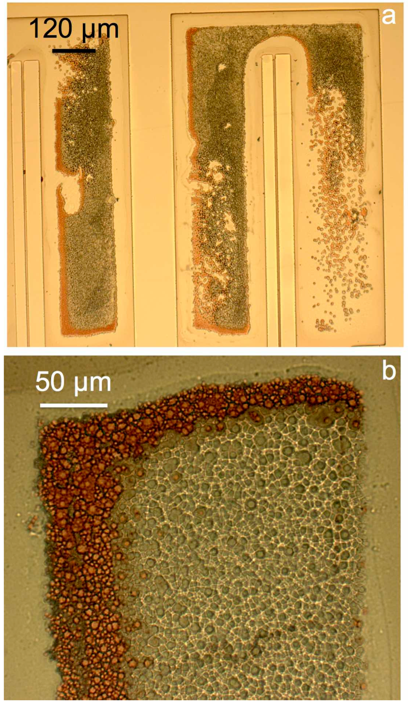 Materials 10 00323 g005