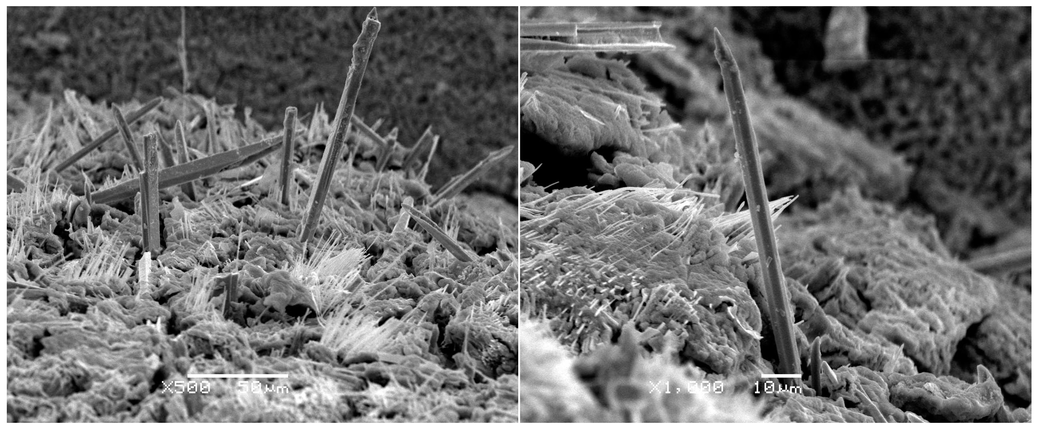 Materials 10 00327 g003