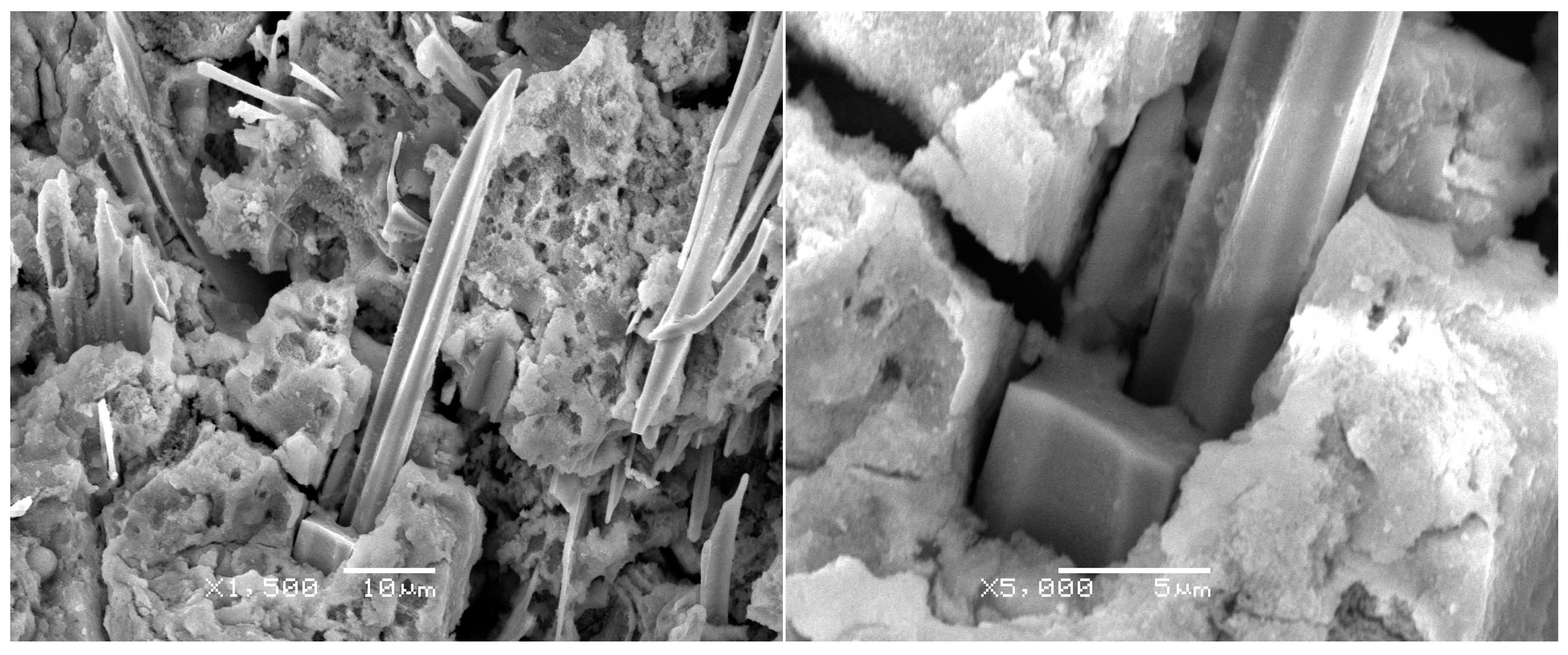 Materials 10 00327 g006