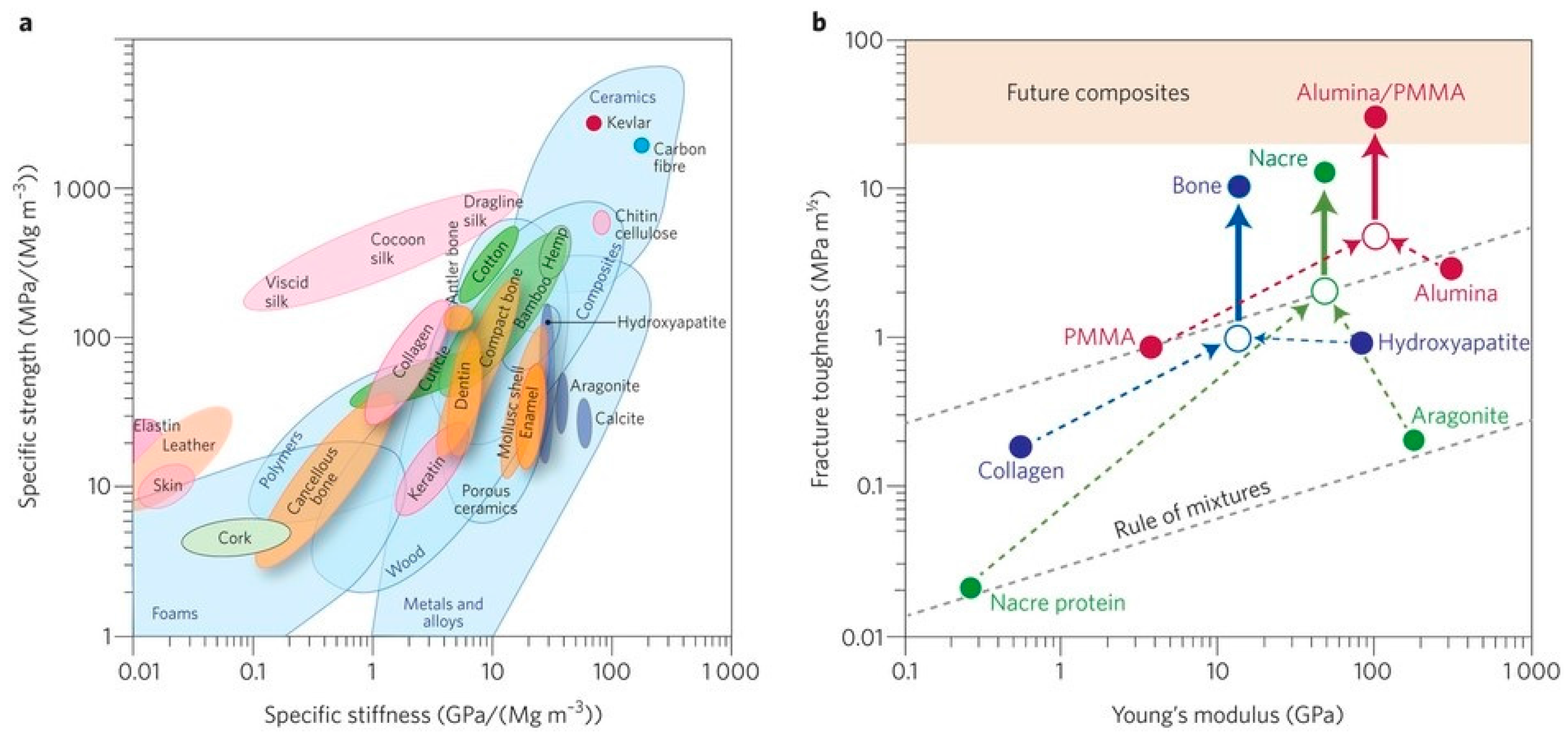Materials 10 00334 g002