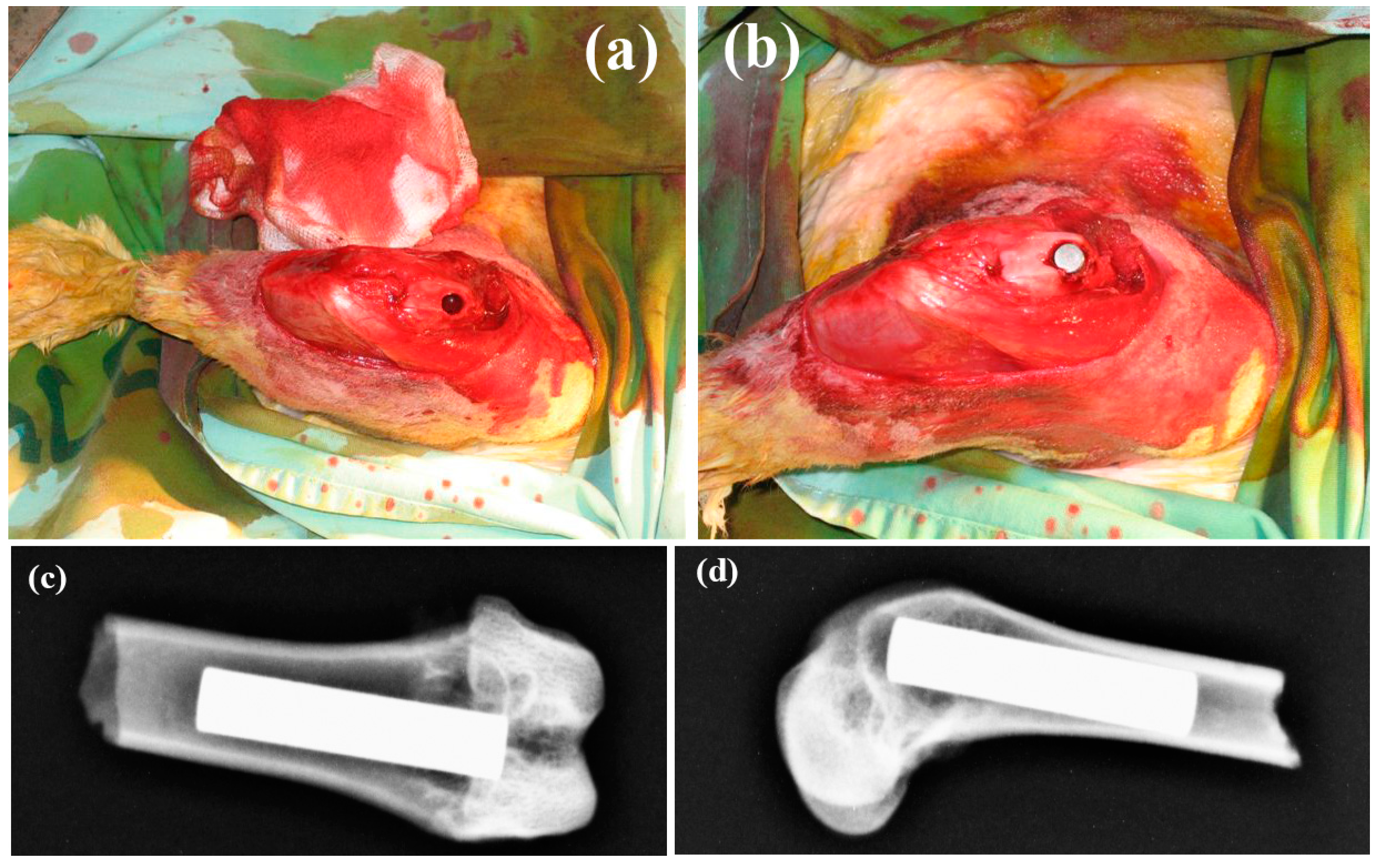 Materials 10 00334 g008