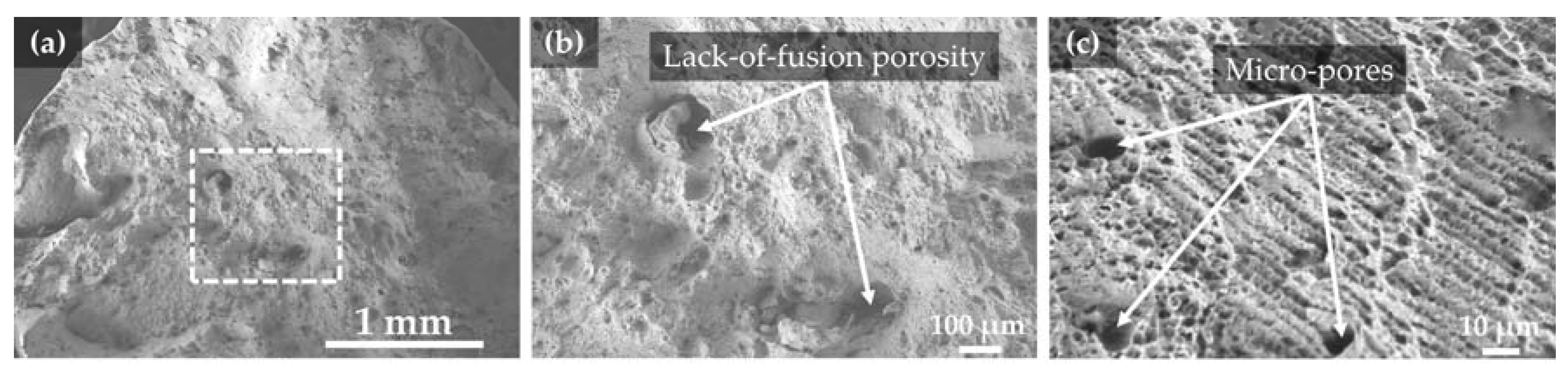 Materials 10 00341 g007