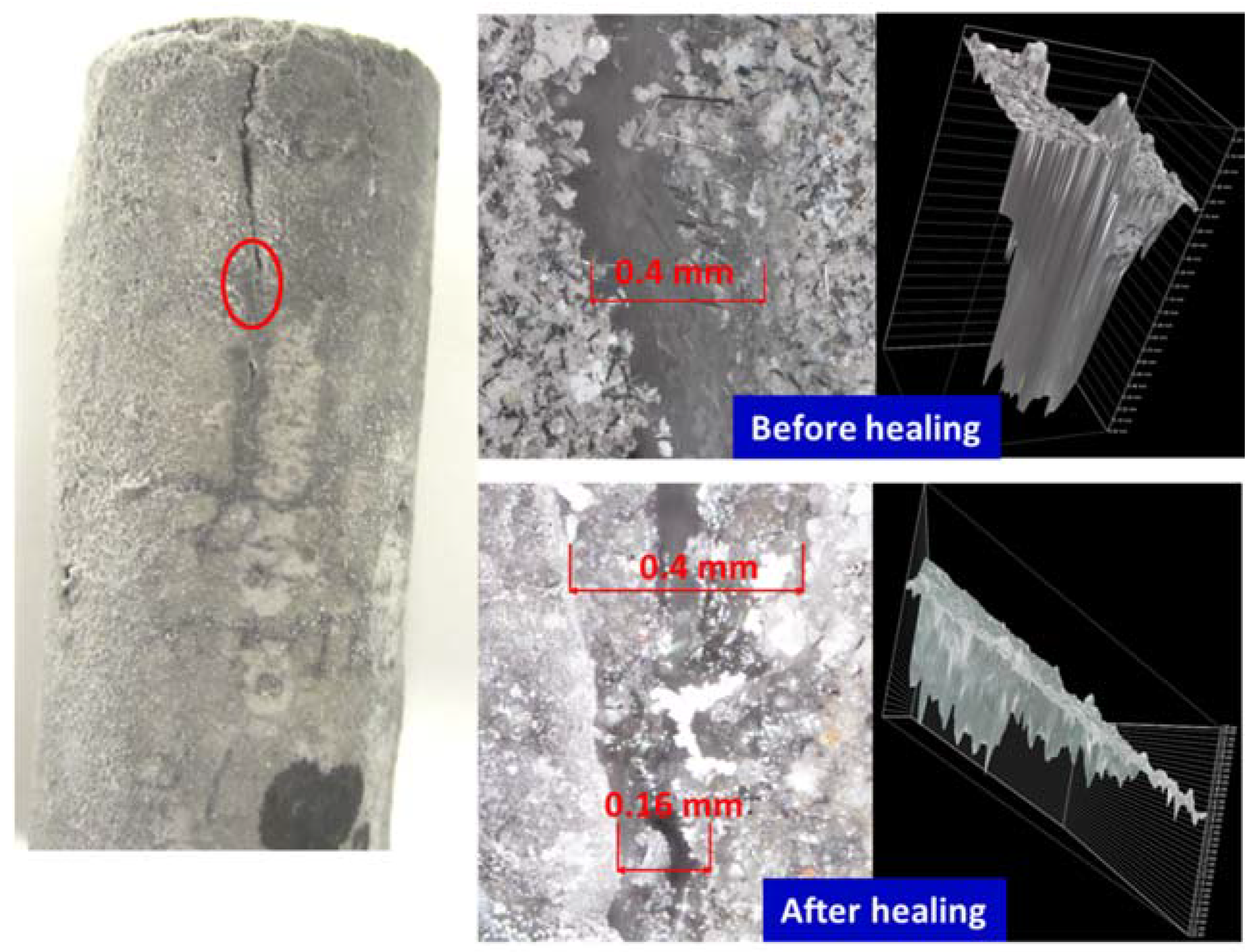 Materials 10 00342 g003