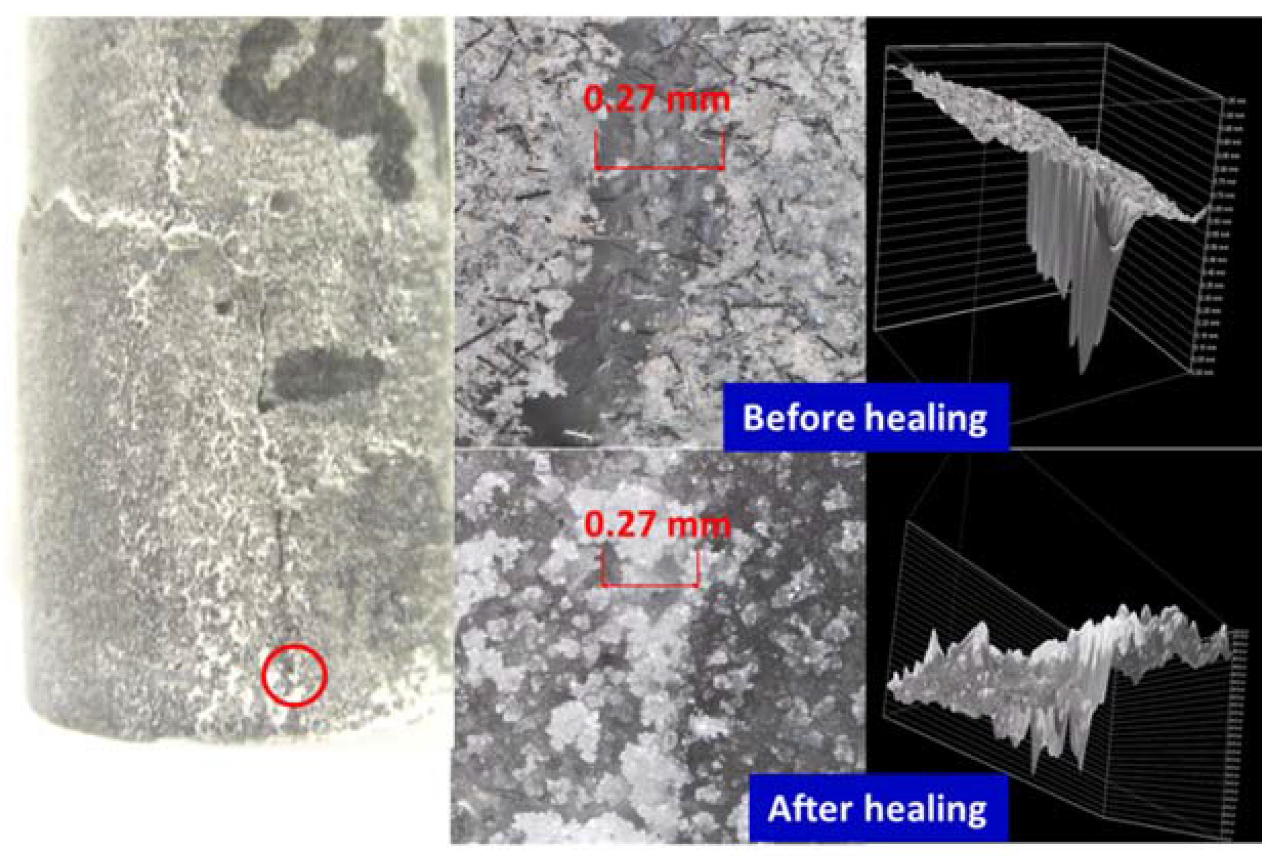 Materials 10 00342 g005