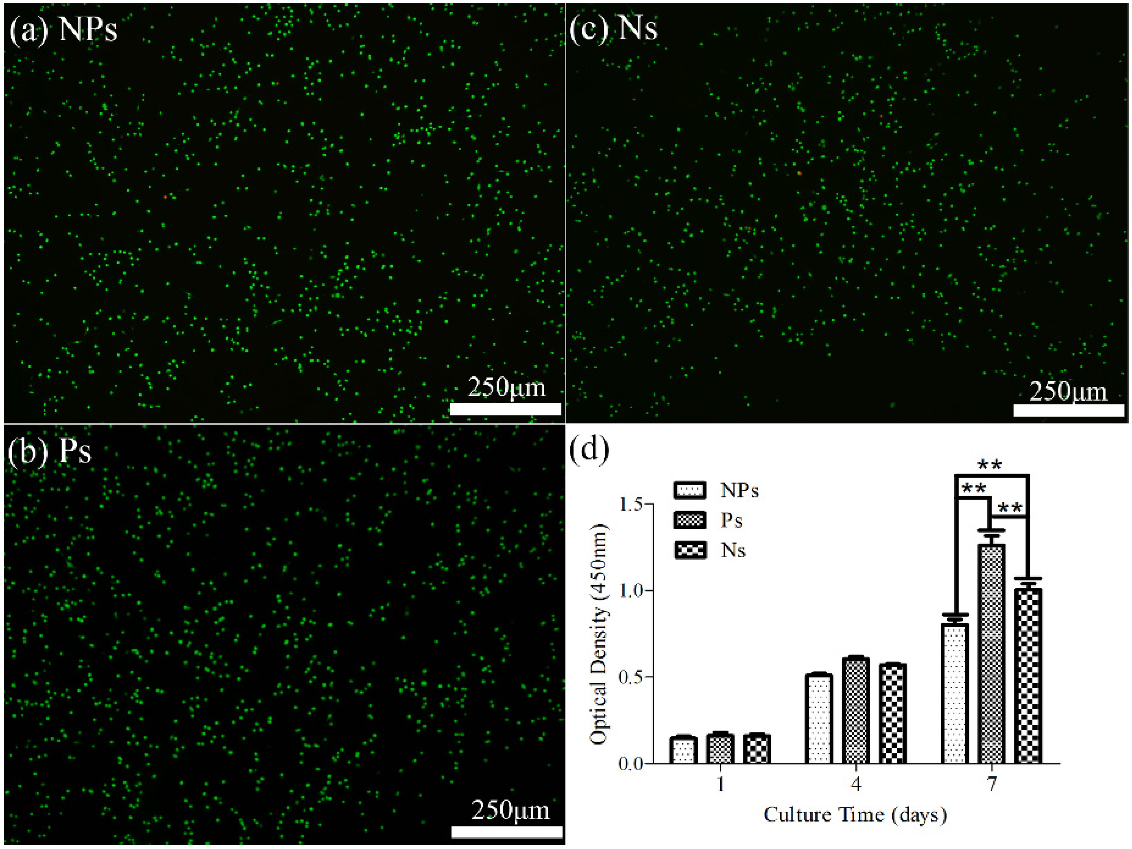 Materials 10 00345 g007