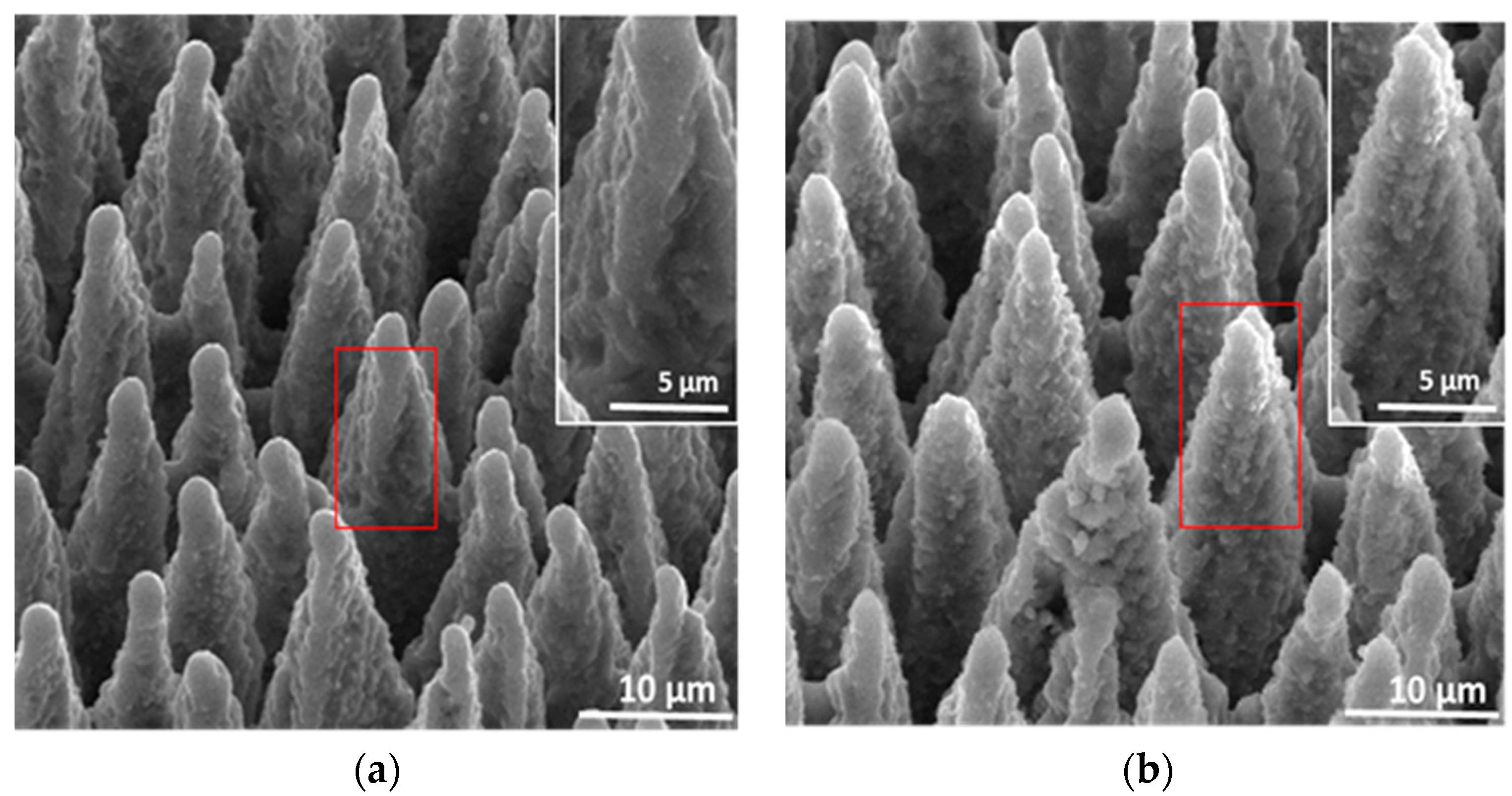 Materials 10 00351 g001