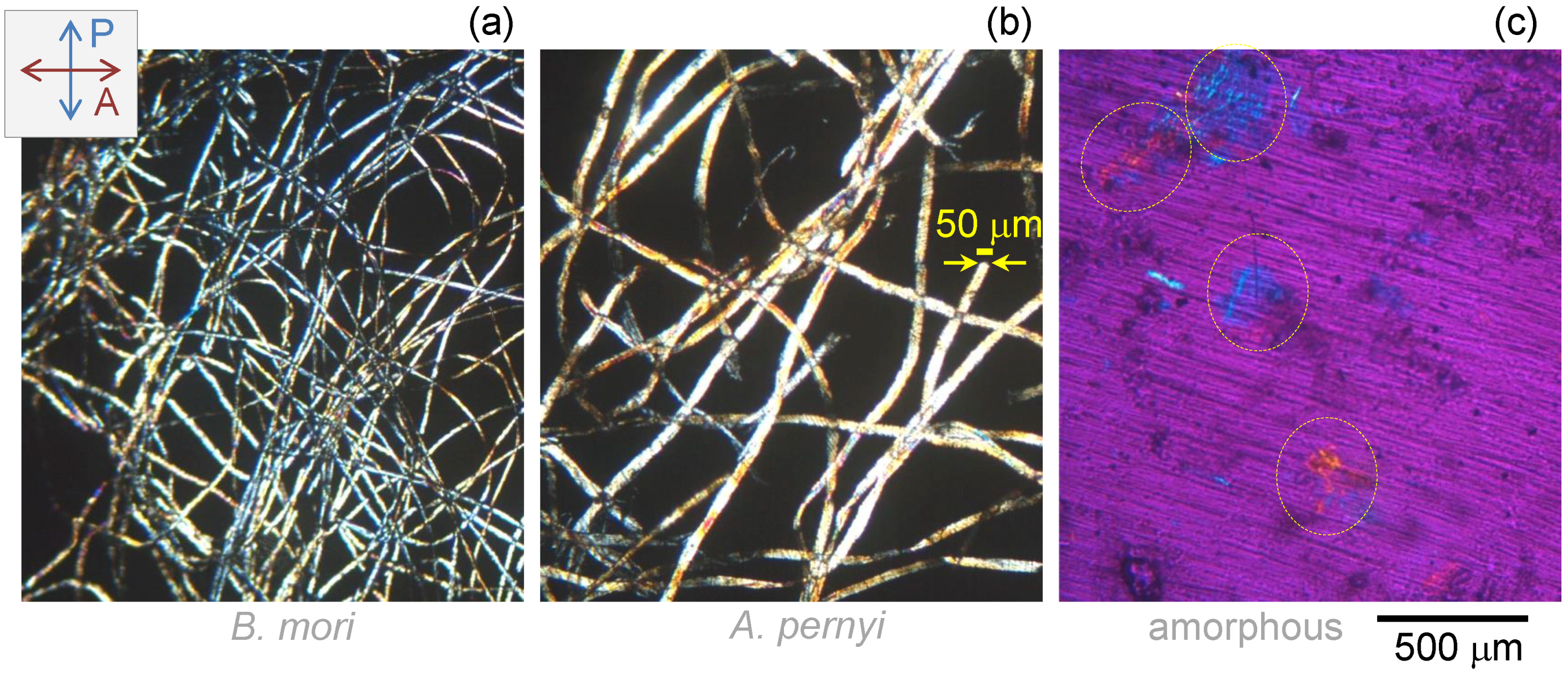 Materials 10 00356 g005