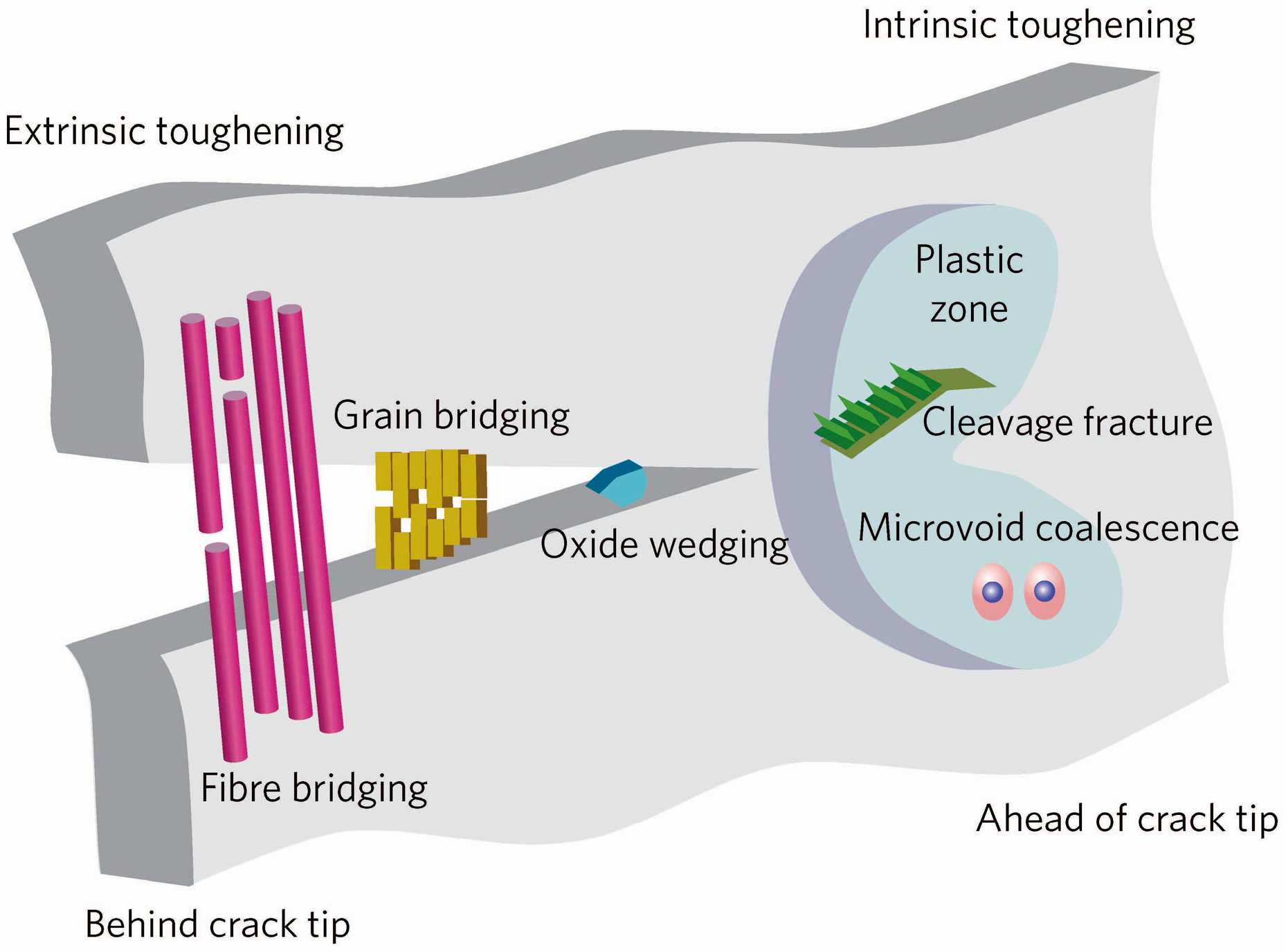 Materials 10 00366 g001