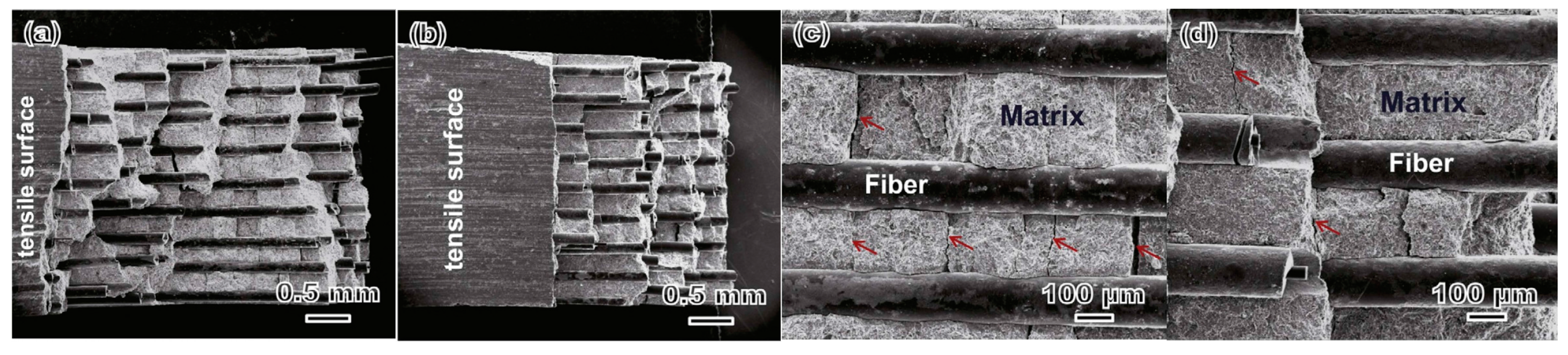 Materials 10 00366 g004