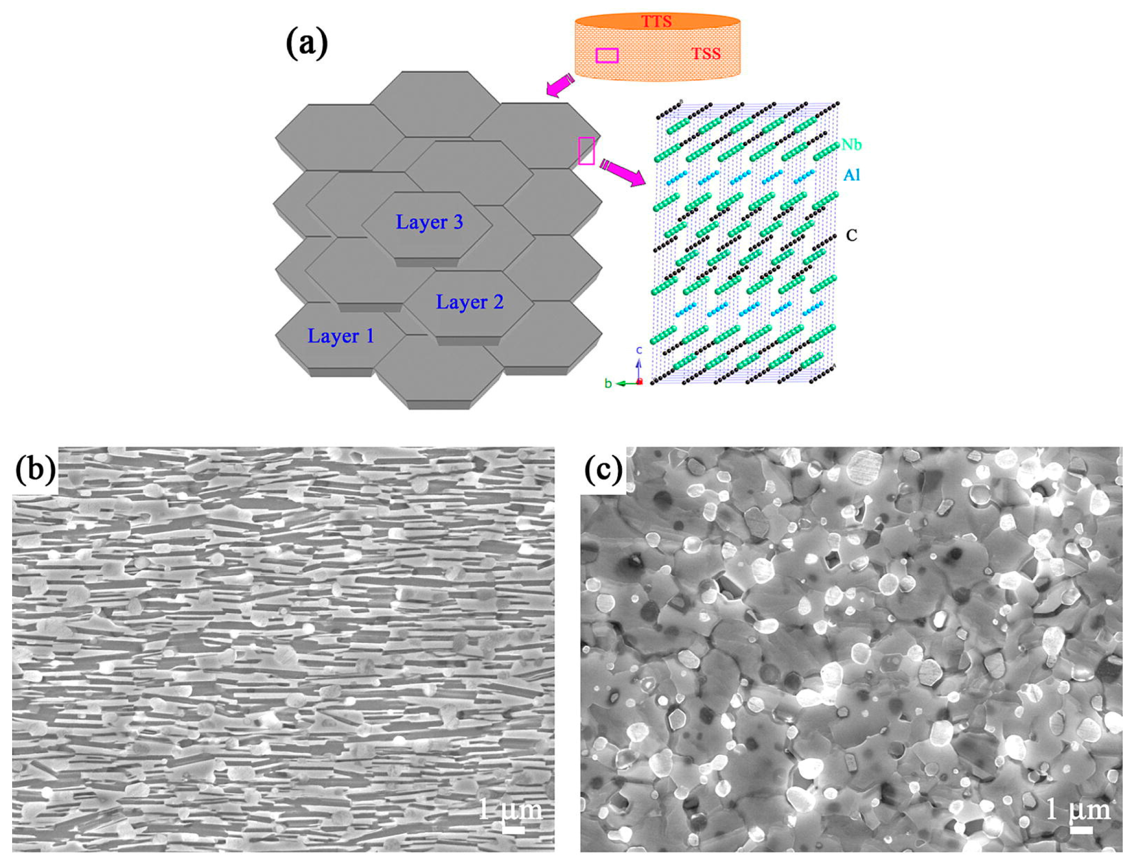Materials 10 00366 g005a