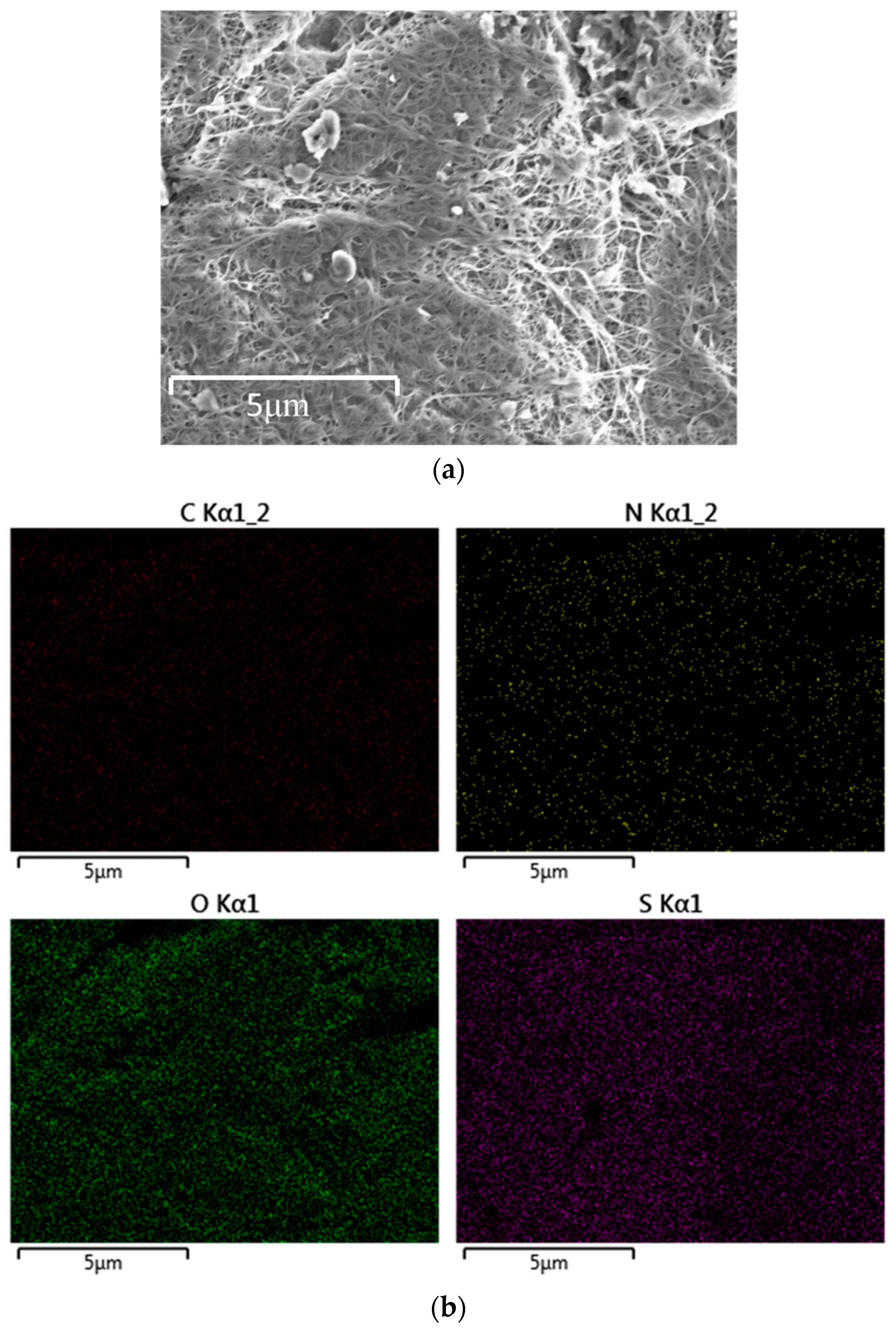 Materials 10 00376 g007