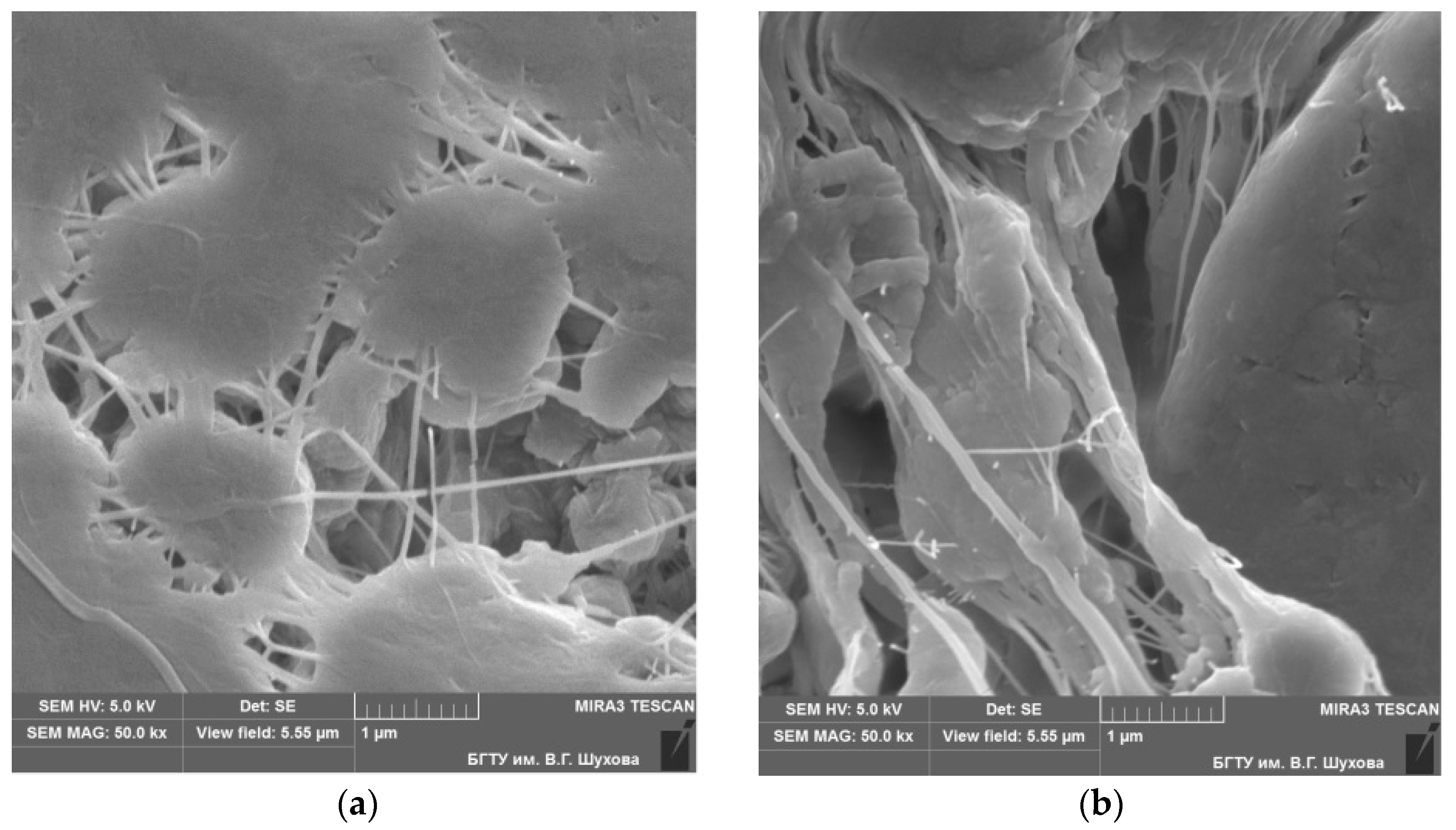 Materials 10 00377 g003 Materials 10 00377 g003