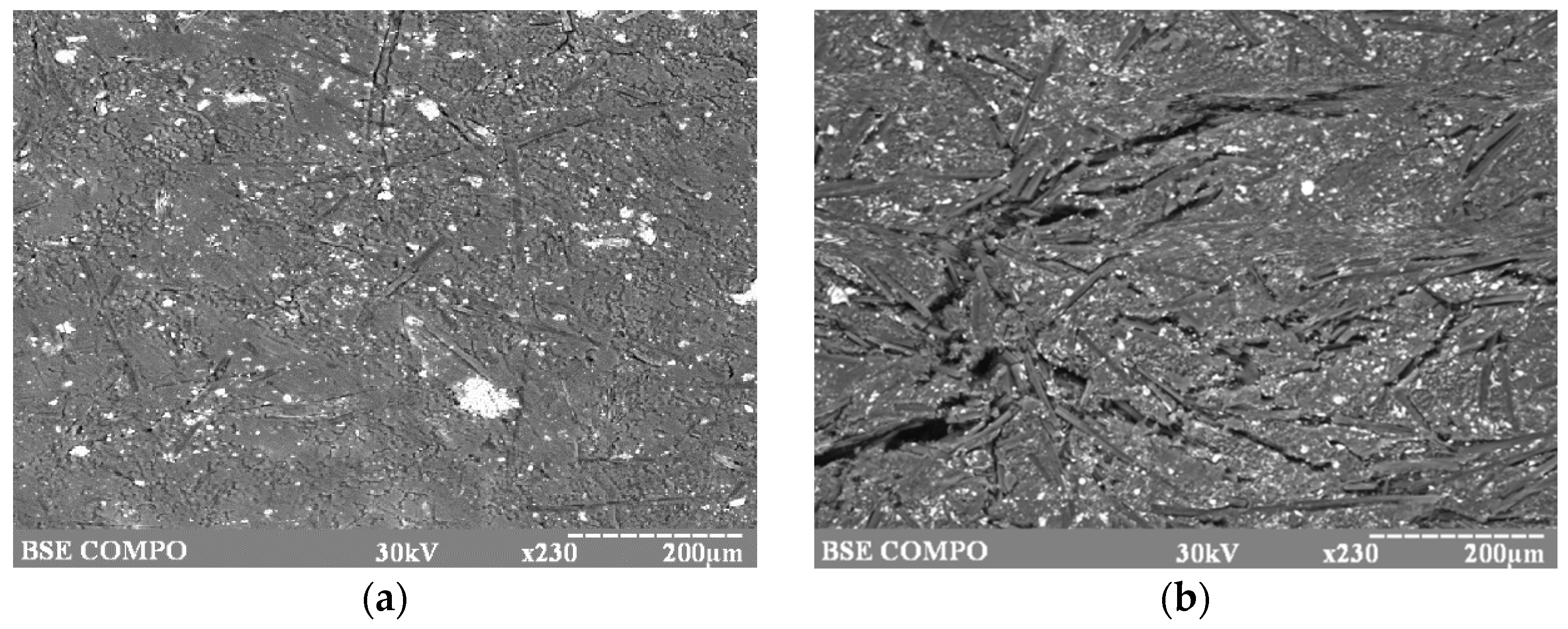 Materials 10 00377 g006 Materials 10 00377 g006