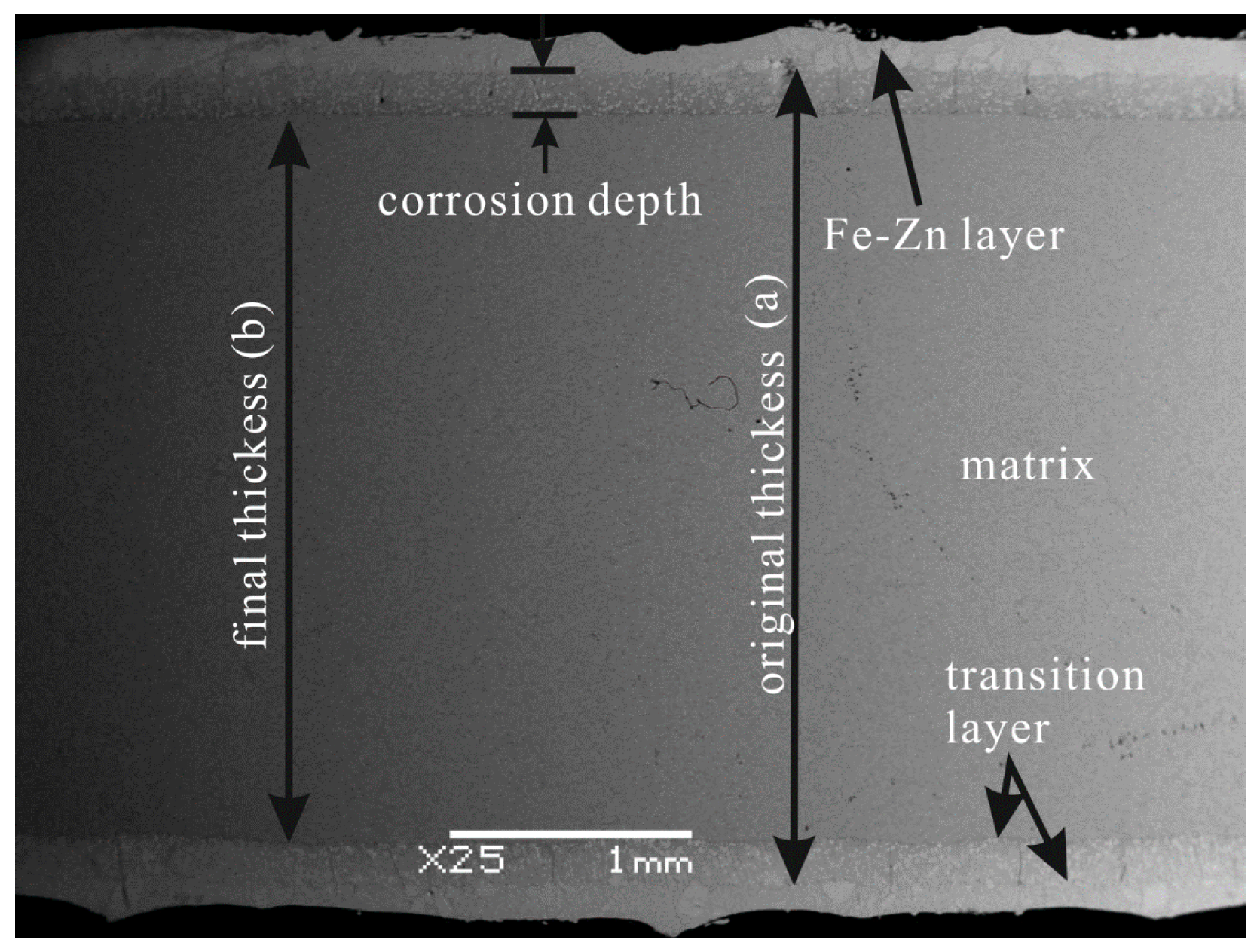 Materials 10 00399 g001