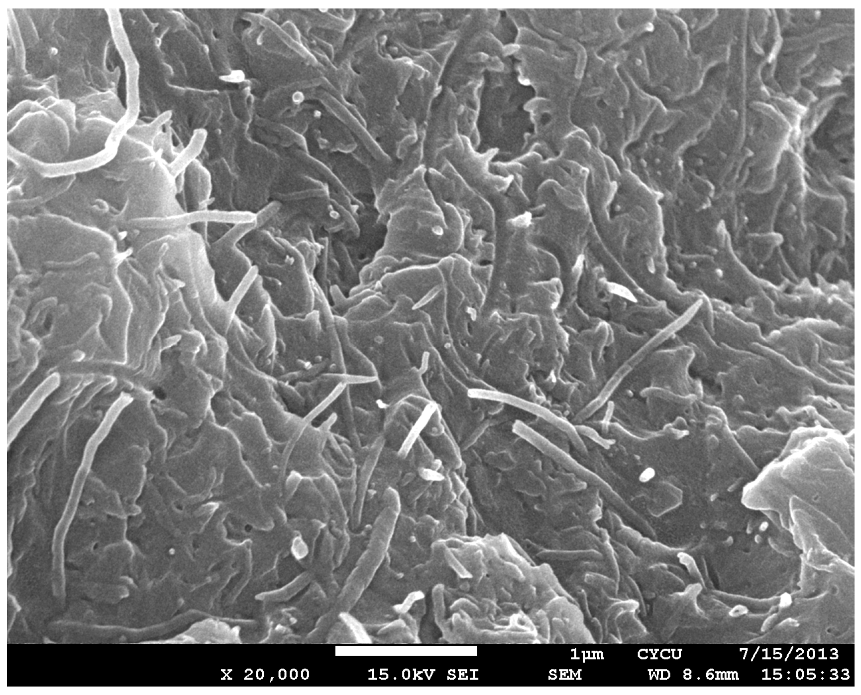 Materials 10 00408 g003