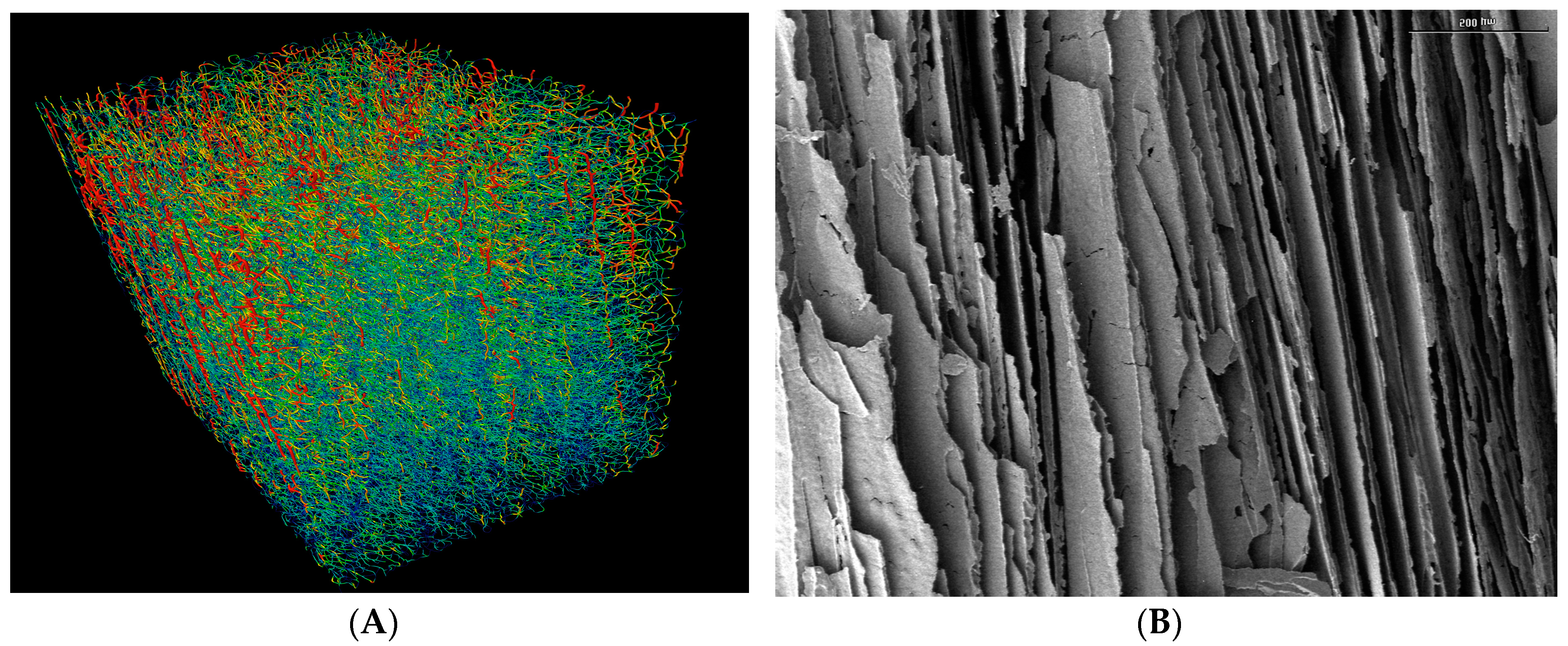 Materials 10 00409 g001