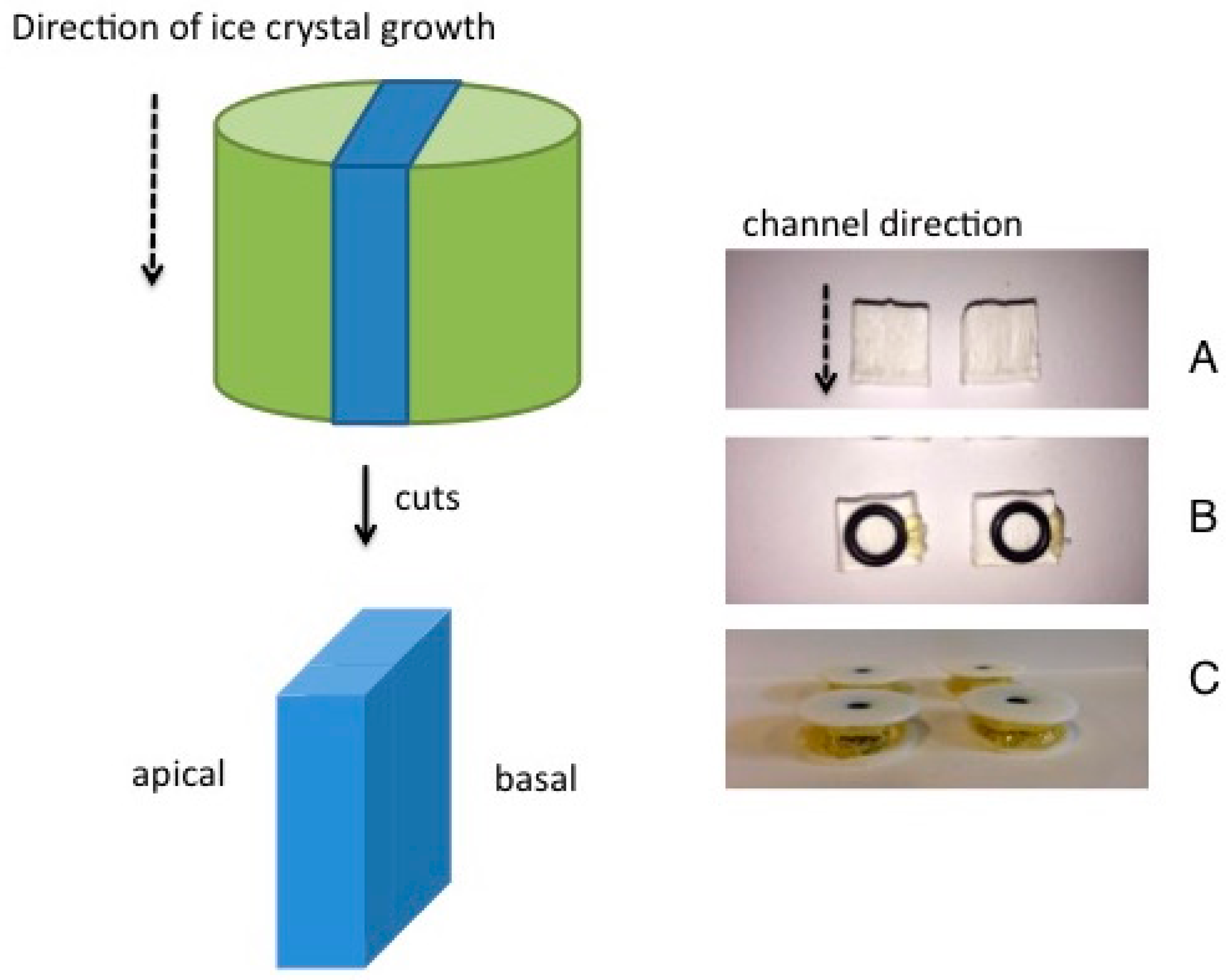 Materials 10 00409 g005