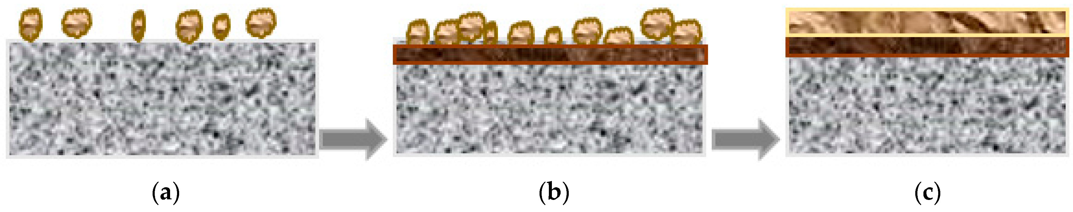 Materials 10 00412 g011