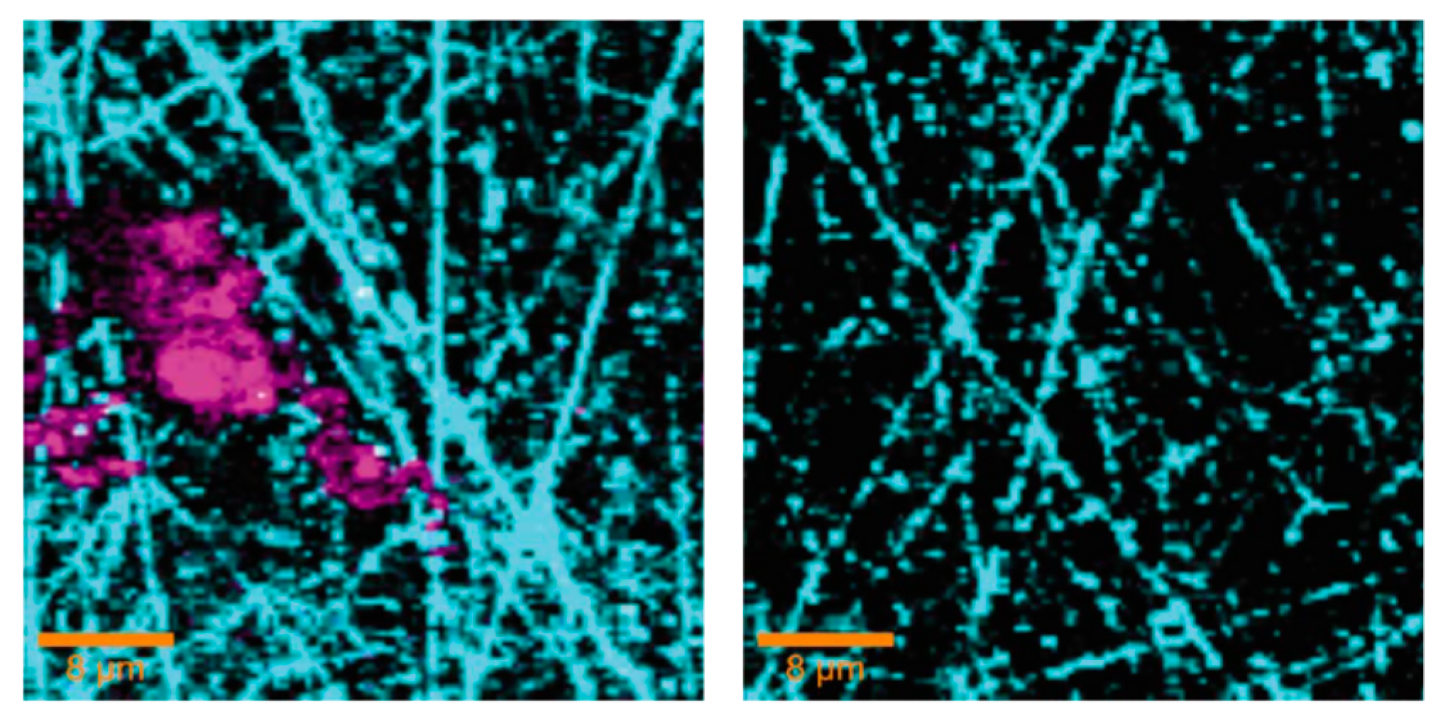 Materials 10 00413 g012