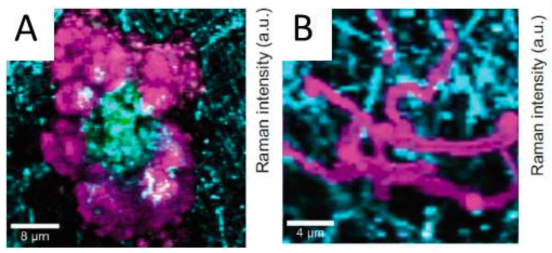Materials 10 00413 g015