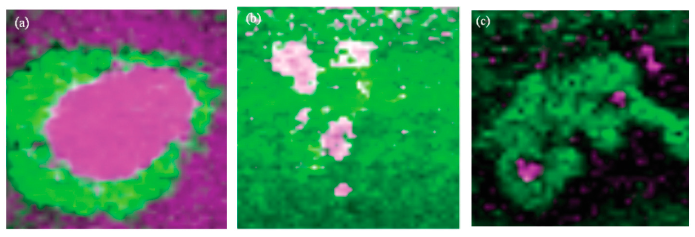 Materials 10 00413 g016