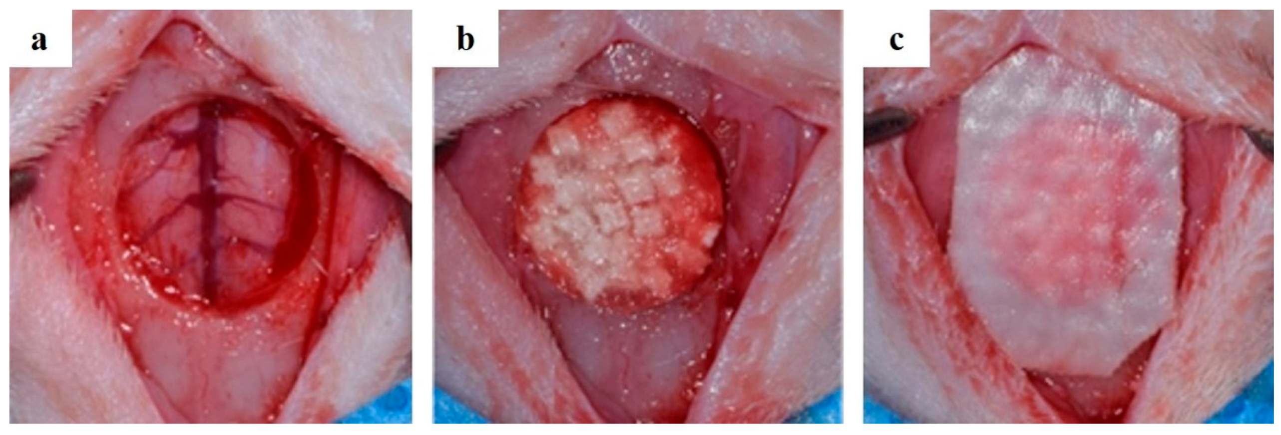 Materials 10 00421 g003