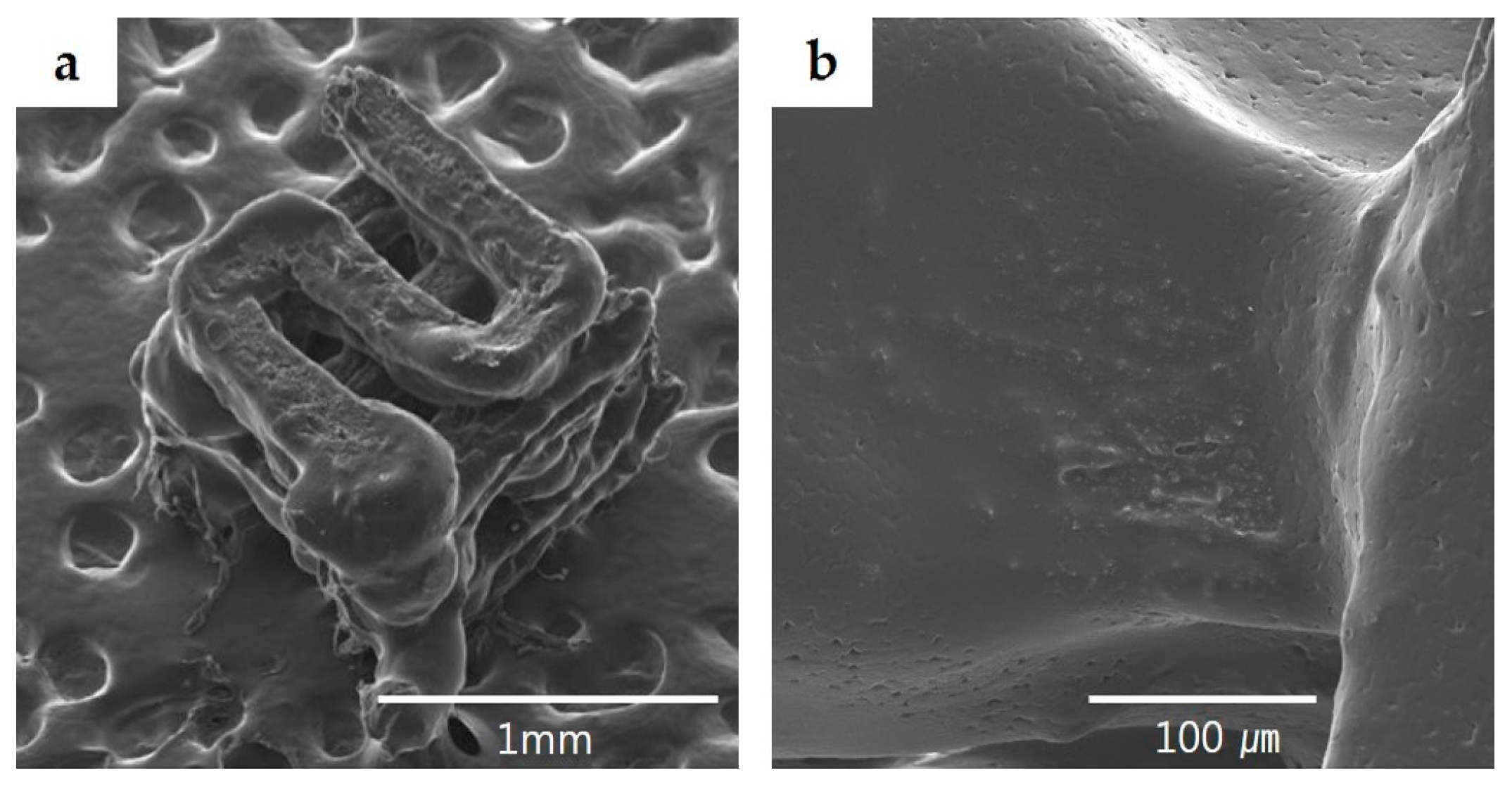 Materials 10 00421 g005