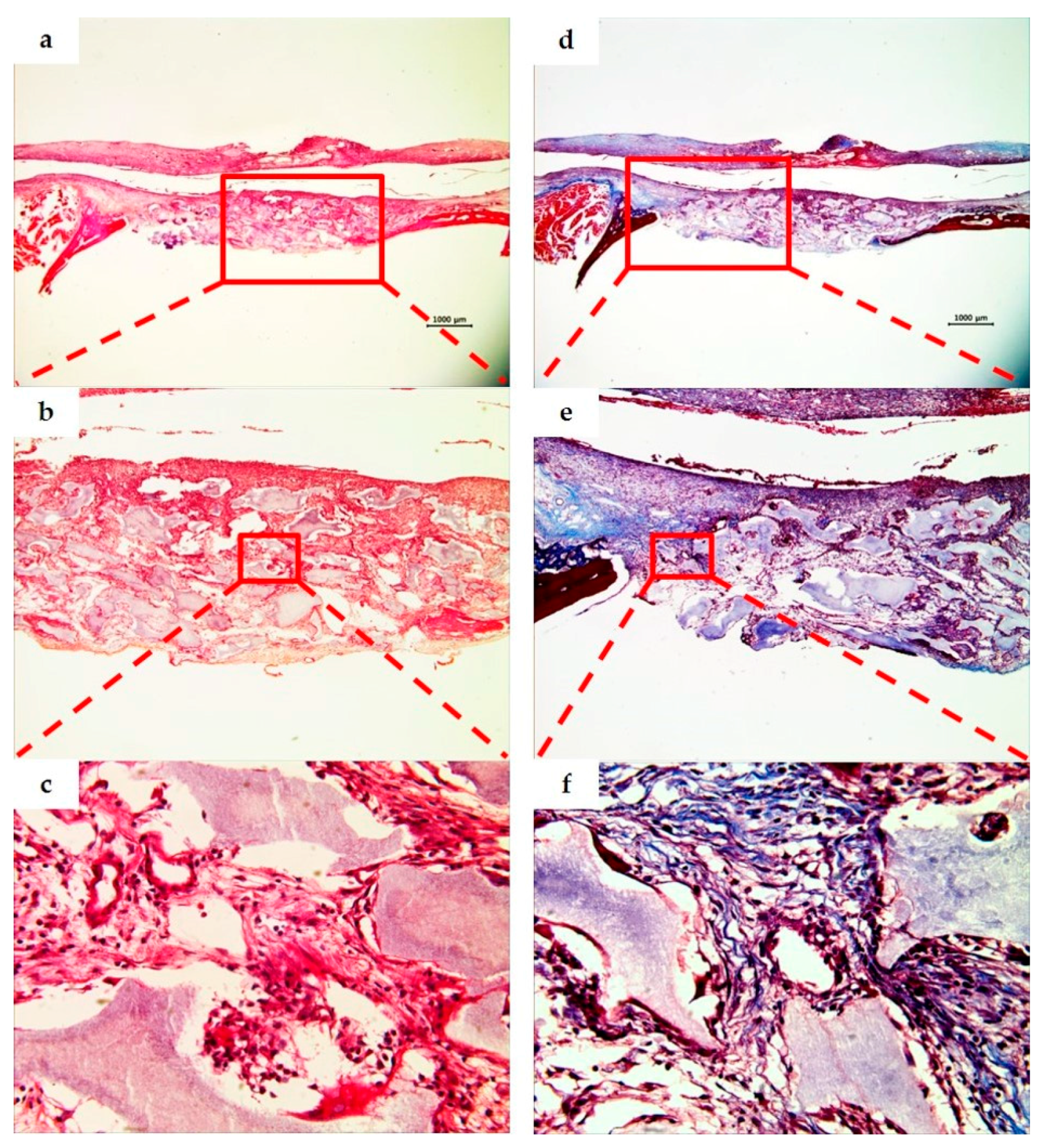 Materials 10 00421 g006