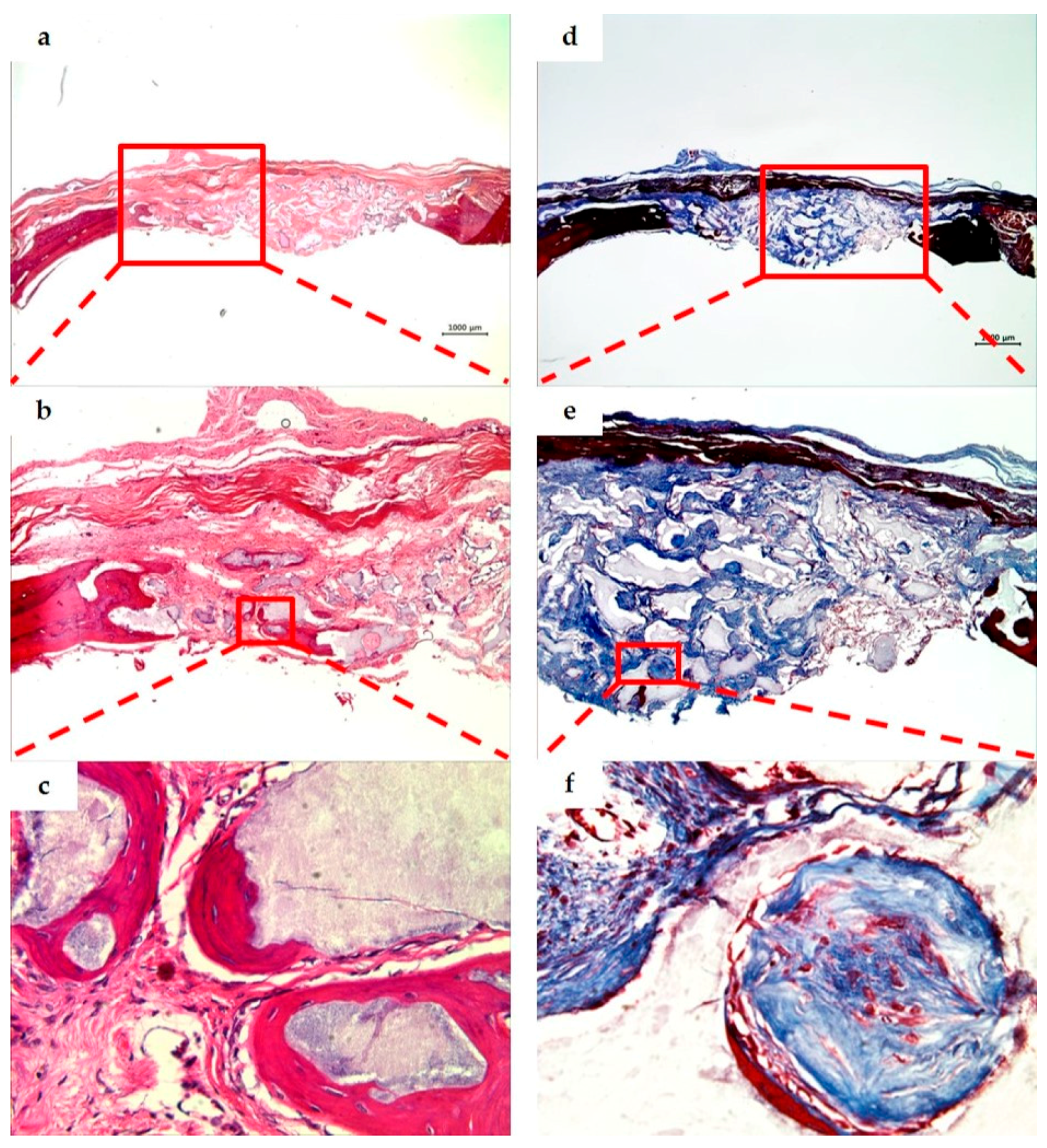 Materials 10 00421 g007