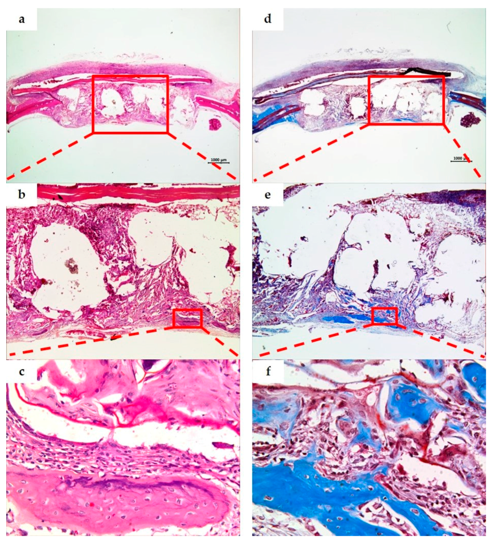 Materials 10 00421 g008