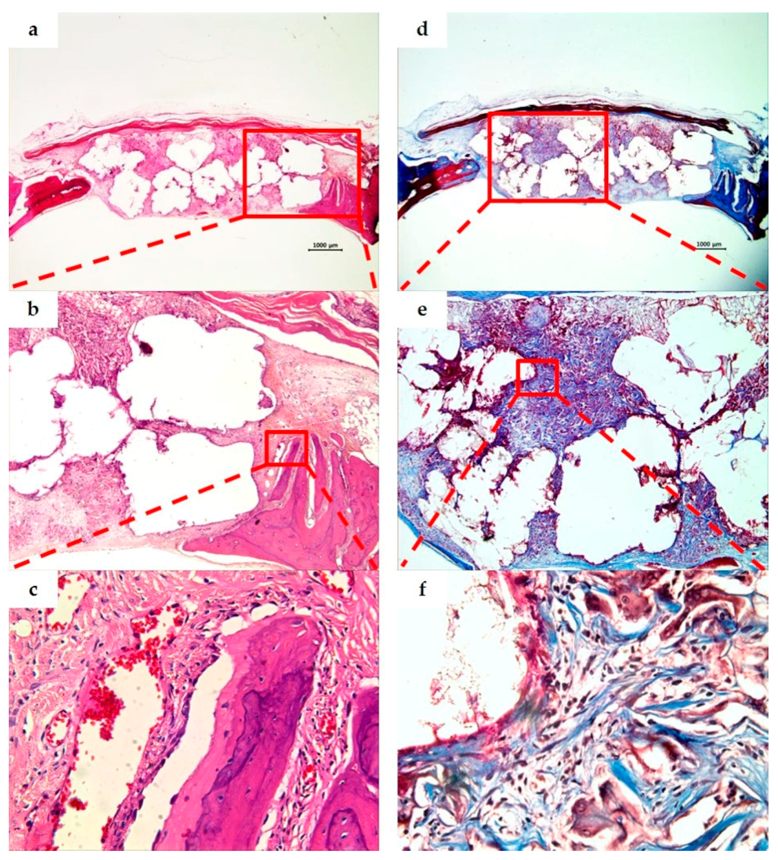 Materials 10 00421 g009