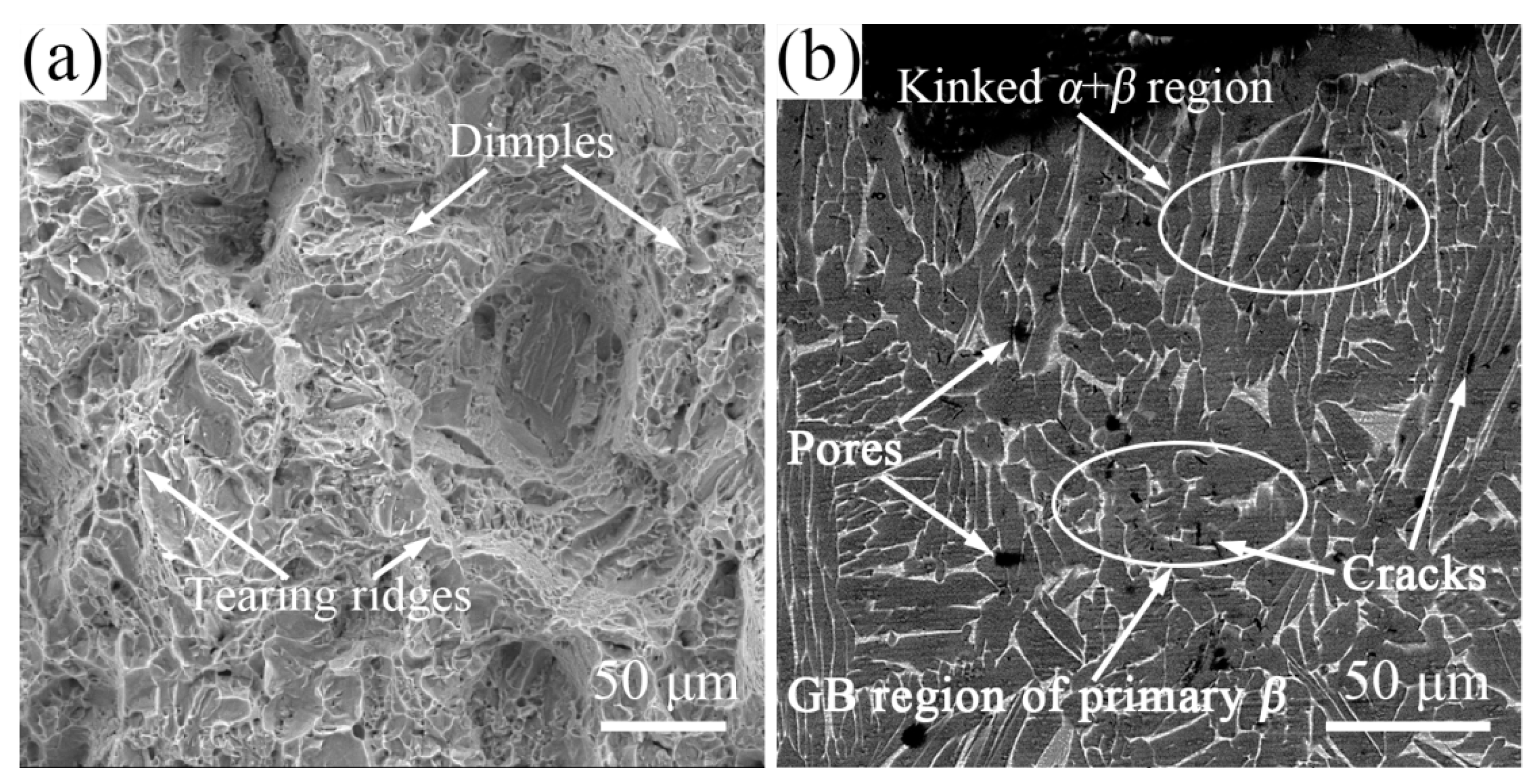 Materials 10 00424 g007a