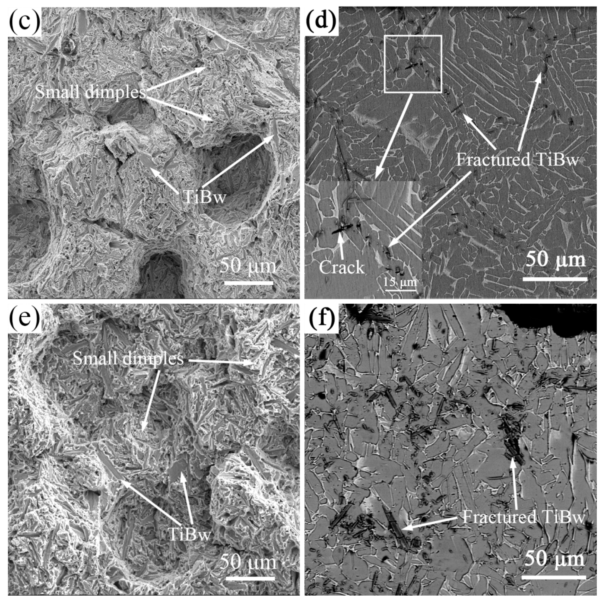 Materials 10 00424 g007b