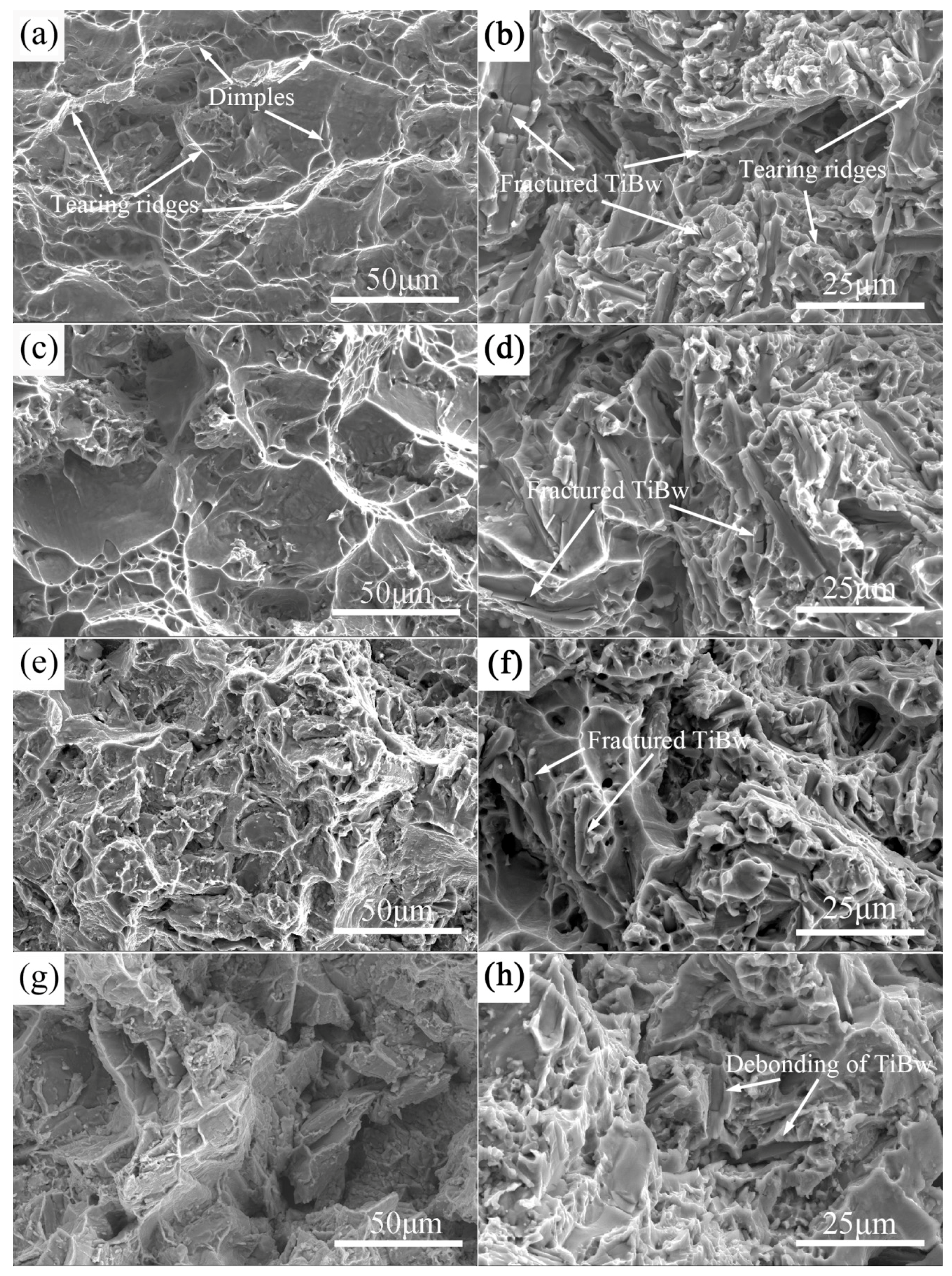 Materials 10 00424 g009